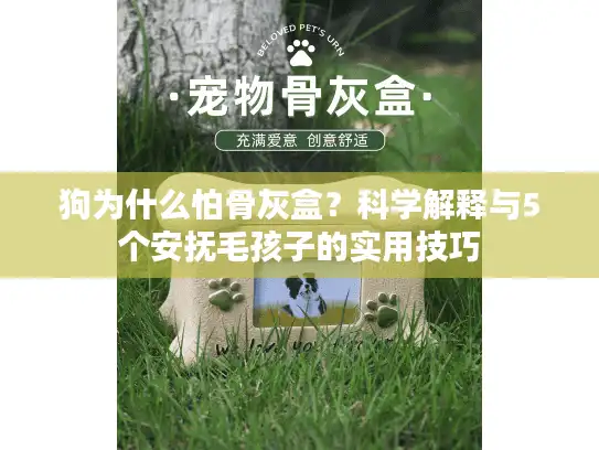 狗为什么怕骨灰盒？科学解释与5个安抚毛孩子的实用技巧