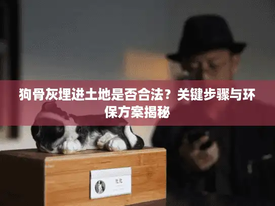 狗骨灰埋进土地是否合法？关键步骤与环保方案揭秘