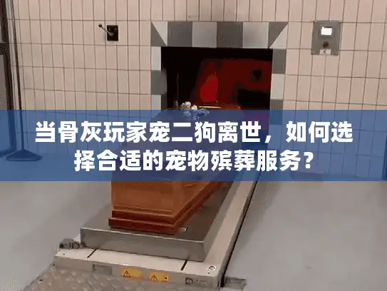 当骨灰玩家宠二狗离世，如何选择合适的宠物殡葬服务？