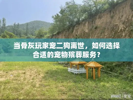 当骨灰玩家宠二狗离世，如何选择合适的宠物殡葬服务？