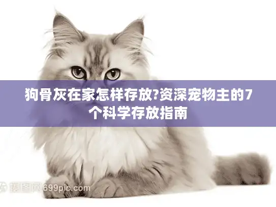 狗骨灰在家怎样存放?资深宠物主的7个科学存放指南