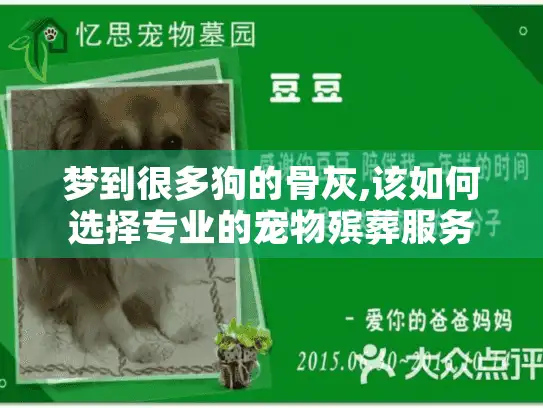 梦到很多狗的骨灰,该如何选择专业的宠物殡葬服务?