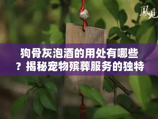 狗骨灰泡酒的用处有哪些？揭秘宠物殡葬服务的独特纪念方式
