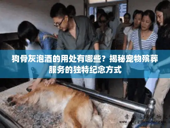 狗骨灰泡酒的用处有哪些？揭秘宠物殡葬服务的独特纪念方式