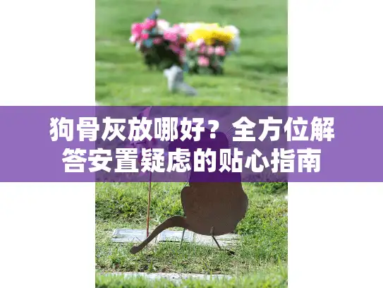 狗骨灰放哪好？全方位解答安置疑虑的贴心指南