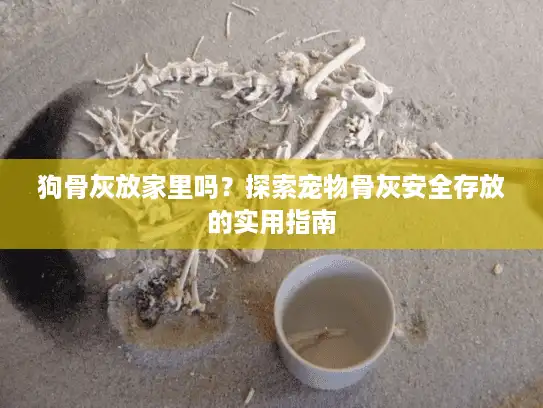 狗骨灰放家里吗？探索宠物骨灰安全存放的实用指南