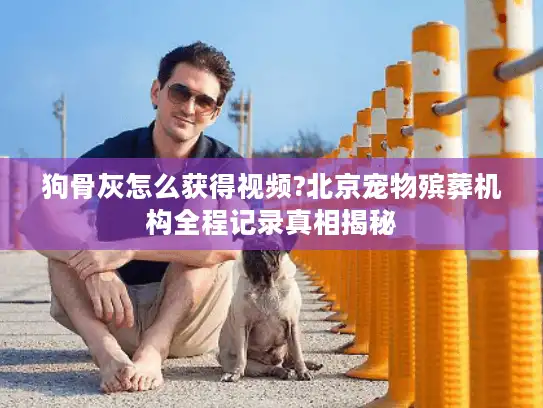 狗骨灰怎么获得视频?北京宠物殡葬机构全程记录真相揭秘