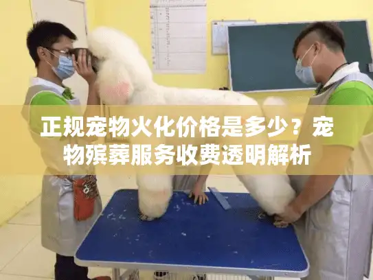 正规宠物火化价格是多少？宠物殡葬服务收费透明解析