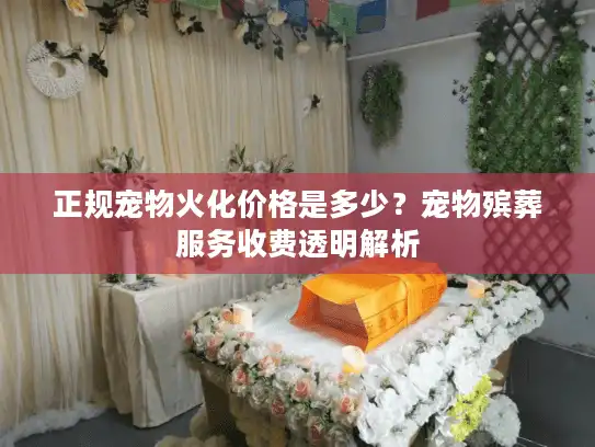 正规宠物火化价格是多少？宠物殡葬服务收费透明解析