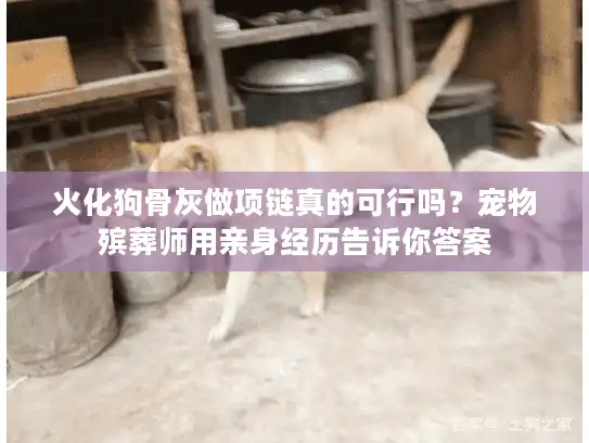 火化狗骨灰做项链真的可行吗？宠物殡葬师用亲身经历告诉你答案