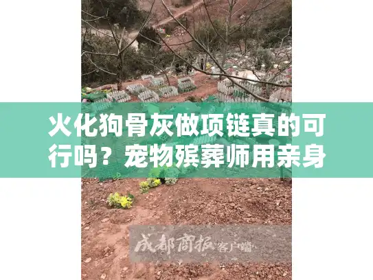 火化狗骨灰做项链真的可行吗？宠物殡葬师用亲身经历告诉你答案