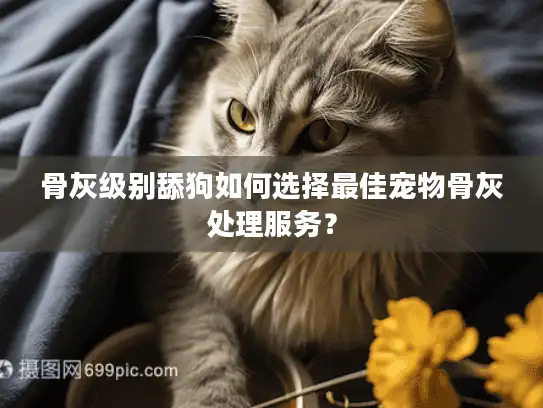 骨灰级别舔狗如何选择最佳宠物骨灰处理服务？
