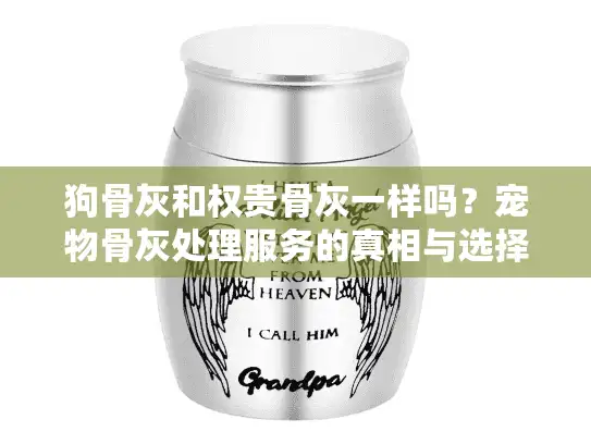 狗骨灰和权贵骨灰一样吗？宠物骨灰处理服务的真相与选择