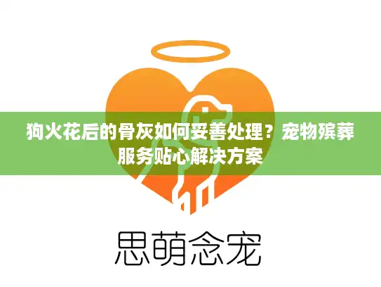 狗火花后的骨灰如何妥善处理？宠物殡葬服务贴心解决方案
