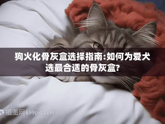 狗火化骨灰盒选择指南:如何为爱犬选最合适的骨灰盒?