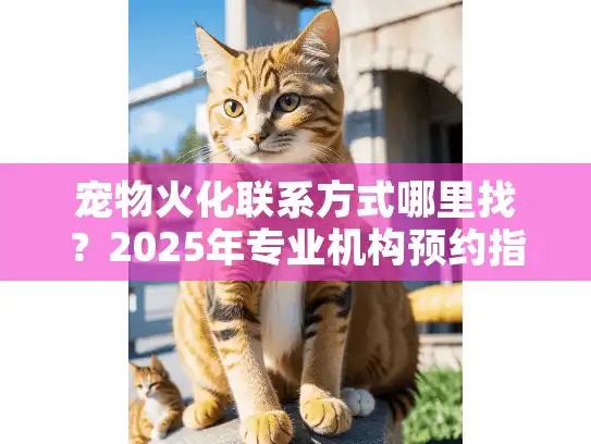 宠物火化联系方式哪里找？2025年专业机构预约指南