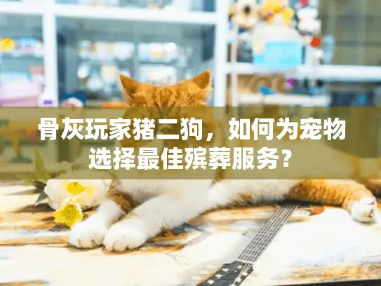 骨灰玩家猪二狗，如何为宠物选择最佳殡葬服务？
