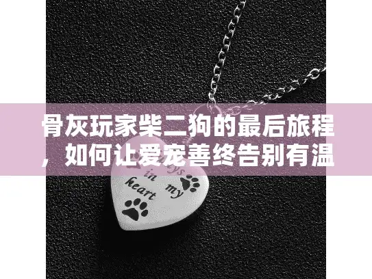 骨灰玩家柴二狗的最后旅程，如何让爱宠善终告别有温度？