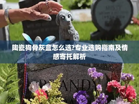 陶瓷狗骨灰盒怎么选?专业选购指南及情感寄托解析