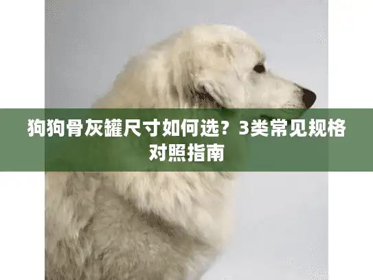 狗狗骨灰罐尺寸如何选？3类常见规格对照指南