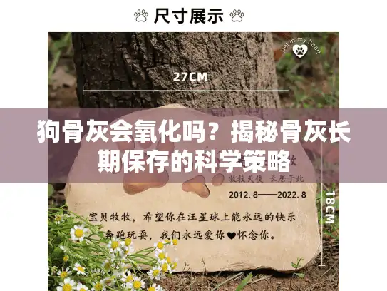 狗骨灰会氧化吗？揭秘骨灰长期保存的科学策略