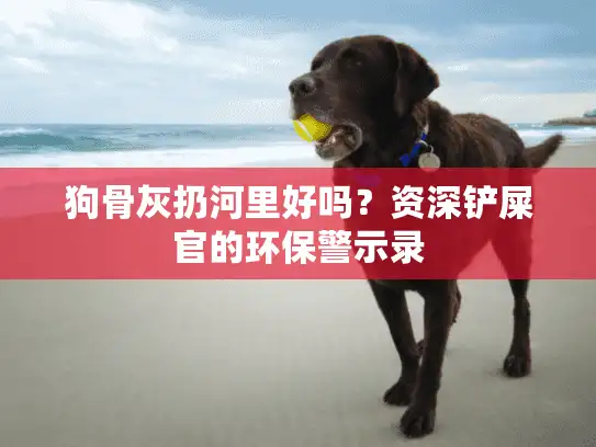 狗骨灰扔河里好吗？资深铲屎官的环保警示录