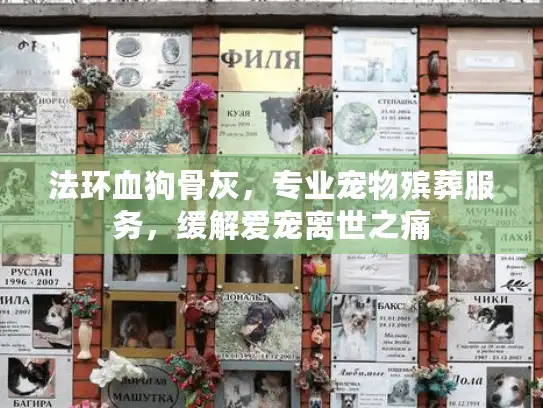 法环血狗骨灰，专业宠物殡葬服务，缓解爱宠离世之痛