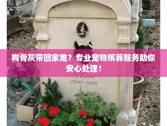 狗骨灰带回家难？专业宠物殡葬服务助你安心处理！