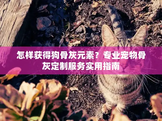怎样获得狗骨灰元素？专业宠物骨灰定制服务实用指南