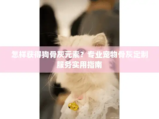 怎样获得狗骨灰元素？专业宠物骨灰定制服务实用指南