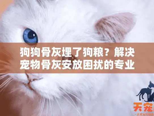 狗狗骨灰埋了狗粮？解决宠物骨灰安放困扰的专业指南