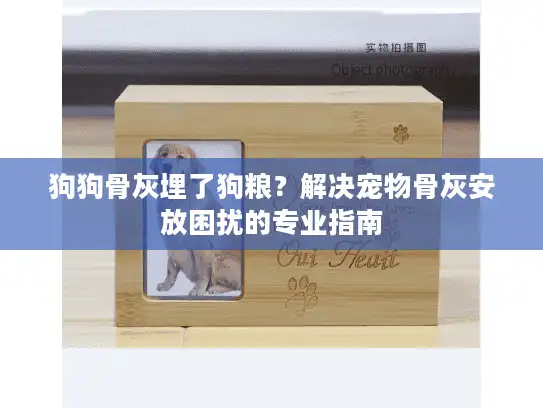 狗狗骨灰埋了狗粮？解决宠物骨灰安放困扰的专业指南