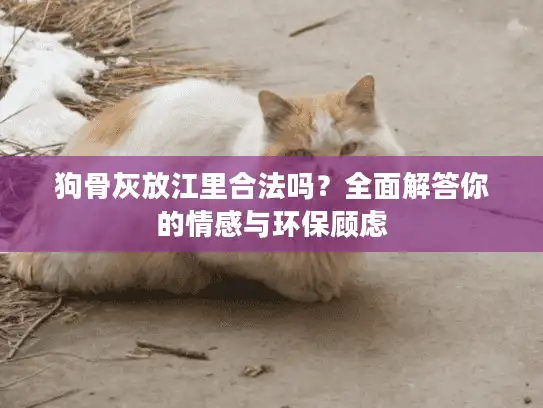 狗骨灰放江里合法吗？全面解答你的情感与环保顾虑