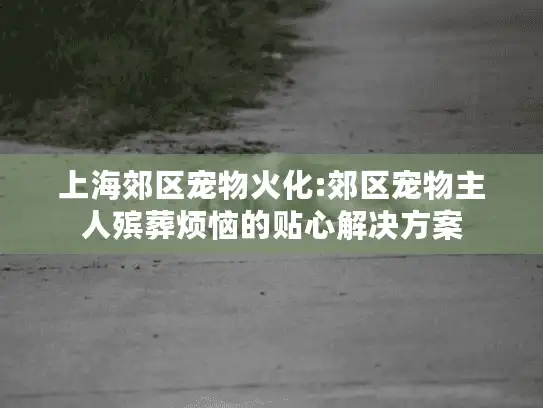 上海郊区宠物火化:郊区宠物主人殡葬烦恼的贴心解决方案