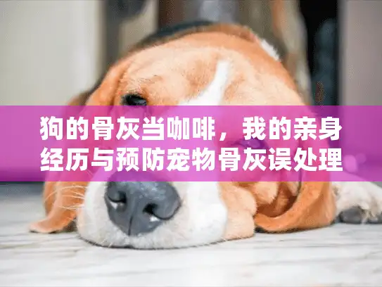 狗的骨灰当咖啡，我的亲身经历与预防宠物骨灰误处理的教训