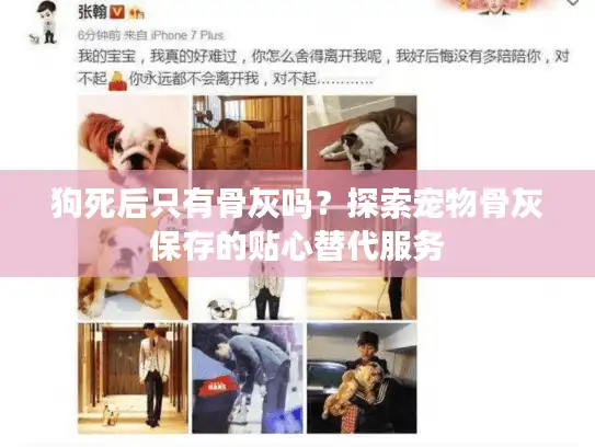 狗死后只有骨灰吗？探索宠物骨灰保存的贴心替代服务