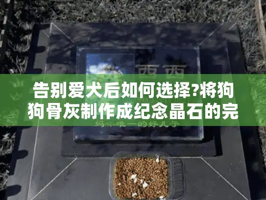 告别爱犬后如何选择?将狗狗骨灰制作成纪念晶石的完整指南