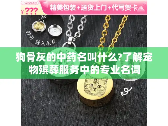 狗骨灰的中药名叫什么?了解宠物殡葬服务中的专业名词