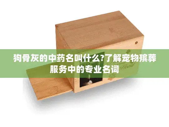 狗骨灰的中药名叫什么?了解宠物殡葬服务中的专业名词