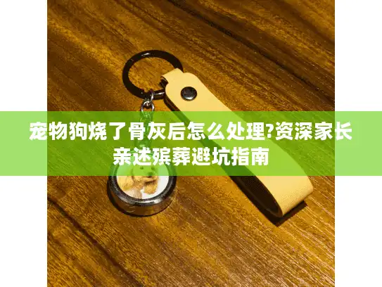 宠物狗烧了骨灰后怎么处理?资深家长亲述殡葬避坑指南