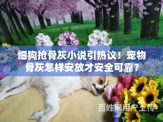 细狗抢骨灰小说引热议！宠物骨灰怎样安放才安全可靠？