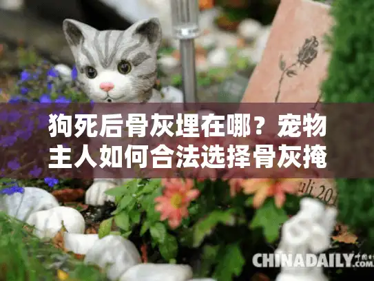 狗死后骨灰埋在哪？宠物主人如何合法选择骨灰掩埋地点指南