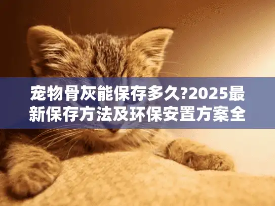 宠物骨灰能保存多久?2025最新保存方法及环保安置方案全解