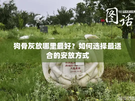 狗骨灰放哪里最好？如何选择最适合的安放方式