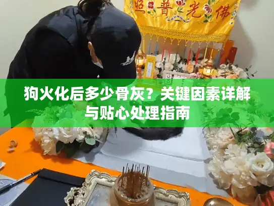 狗火化后多少骨灰？关键因素详解与贴心处理指南