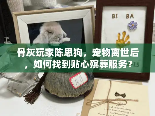 骨灰玩家陈思狗，宠物离世后，如何找到贴心殡葬服务？