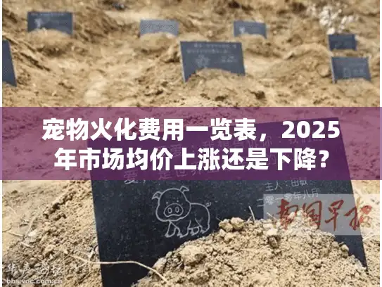 宠物火化费用一览表，2025年市场均价上涨还是下降？