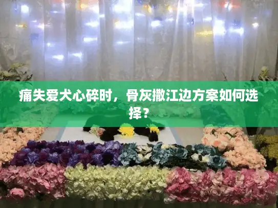 痛失爱犬心碎时，骨灰撒江边方案如何选择？