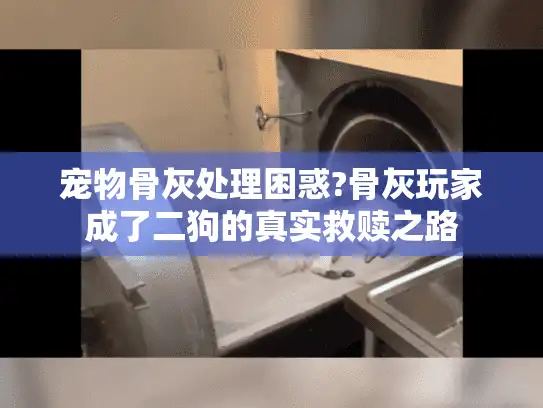 宠物骨灰处理困惑?骨灰玩家成了二狗的真实救赎之路