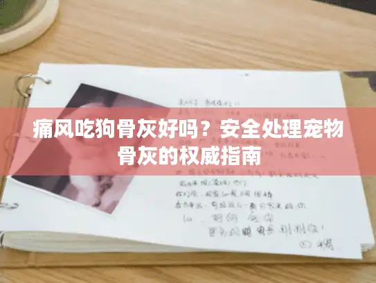 痛风吃狗骨灰好吗？安全处理宠物骨灰的权威指南
